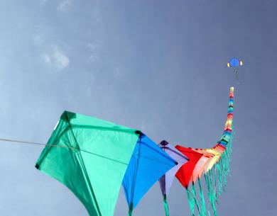 campingcesenatico en offer-kite-festival-cervia-on-camping-cesenatico-near-the-beach-of-pinarella 024