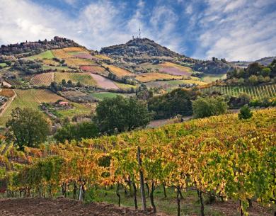 Collines avec vignobles et ciel bleu, paysage d'automne.