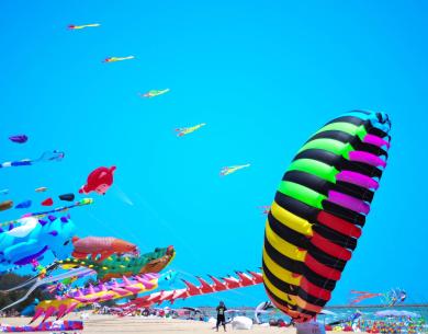 Festival degli aquiloni colorati sulla spiaggia con cielo blu.