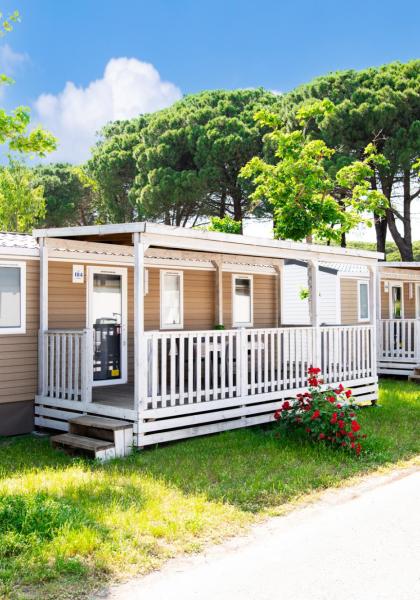 Mobil-homes avec porches dans un camping verdoyant.