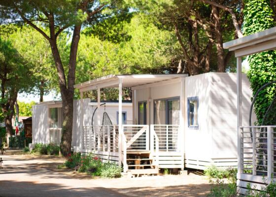 Modern bungalows surrounded by nature with verandas and gardens.