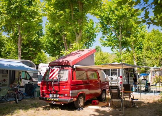 Campers parked in a shaded campground with trees and camping equipment.