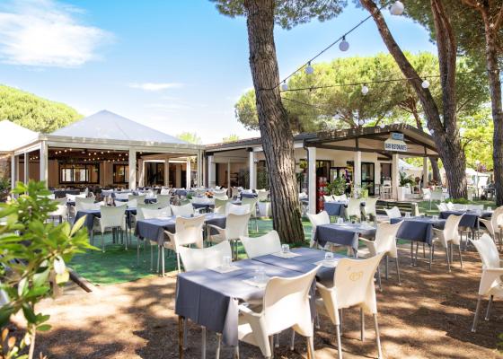 Restaurant en plein air avec tables sous les arbres, ambiance chaleureuse.