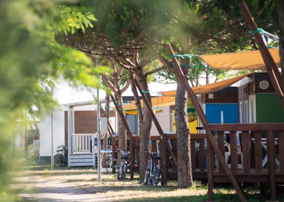 Mobil-homes colorés dans un camping avec vélos et arbres.