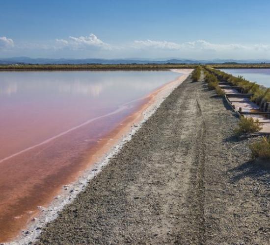 The salt pans of Cervia